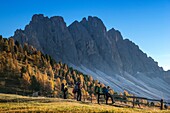 Puez Olde Natural park, Trentino Alto Adige, Sudtirol, Dolomites, Alps, Italy
