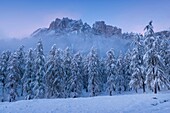 Crepe de Zumeles, Cortina, Ampezzo, Dolomites, Alps, Veneto, Italy