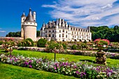 Chenonceau castle, Loire department, France