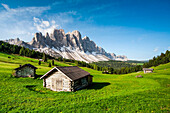 View of the Odle from Malga Caseril Puez Natural Park Funes Valley Dolomites Trentino Alto Adige Italy Europe