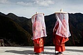 Kumano Nachi Taisha (ç†Šé‡Žé‚£æ ºå¤§ç¤¾) is one of the three Kumano shrines, situated a few kilometers inland from the coastal hot spring resort of Katsuura The shrine is part of a large complex of neighboring religious sites that exemplify the fusion of 