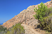 Wanderweg in der Calanche, zwischen Porto und Piana, Westkorsika, Korsika, Südfrankreich, Frankreich, Südeuropa, Europa