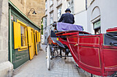 Hackney carriage and horse cab in the alley Seitzergasse in the historic old town of Vienna, Eastern Austria, Austria, Europe