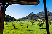 Blick aus dem historischen Zug zwischen Sóller und Palma im Tramuntanagebirge, Sóller, Mallorca, Spanien