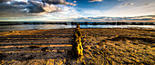 Poles along the coast, Hjelm, Stege, Isle of Moen, Baltic Sea, Denmark