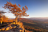 Blick von Battert Felsen, Merkur Berg, Baden Baden, Schwarzwald, Baden Württemberg, Deutschland, Europa