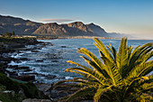 Hermanus Bay at sunset, Western Cape, South Africa, Africa