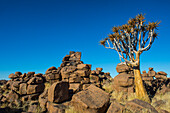 Ungewöhnliche Felsformationen, Giant's Playground, Keetmanshoop, Namibia, Afrika