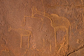 Alte Felsgravuren, Twyfelfontein, UNESCO Weltkulturerbe, Namibia, Afrika