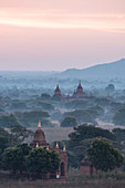 Blick auf Tempel im Morgengrauen, Bagan (Pagan), Mandalay Region, Myanmar (Burma), Asien