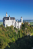 Neuschwanstein Castle, Fussen, Allgau, Allgau Alps, Bavaria, Germany, Europe