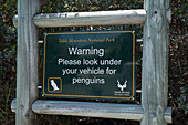 Warning sign to ckeck for penguins under your vehicle, car park, near Boulders Beach, Cape Town, South Africa, Africa
