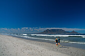 Joggers running on Blouberg Beach in the early morning, with Table Mountain in the background, Cape Town, South Africa, Africa