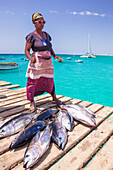 Bunte lokale Frau verkauft frisch gefangenen gelben Flosse Thunfisch aus dem Pier in Santa Maria, Sal Insel, Kap Verde, Afrika