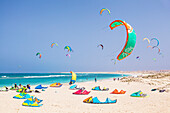 Kite surfers and kite surfing on Kite beach, Praia da Fragata, Costa da Fragata, Santa Maria, Sal Island, Cape Verde, Atlantic, Africa