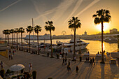 Sonnenuntergang über Malaga Marina, Malaga, Costa del Sol, Andalusien, Spanien, Europa
