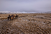 Icelandic horseback riders, Hveragerdi, Iceland, Polar Regions