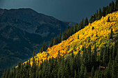 Fall colors in Aspen Colorado backcountry before a thunderstorm