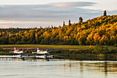 A pair of DeHavilland Beaver floatplanes moored along the Kvichak River in the Bristol Bay region, Southwest Alaska, USA.