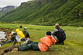 Die Besucher beobachten einen weidenden männlichen Grizzlybären in der Kukak-Bucht, Katmai Nationalpark & ??Preserve, Südwesten Alaskas, USA