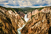'Grand Canyon und Lower Yellowstone Falls, Yellowstone National Park; Wyoming, Vereinigte Staaten von Amerika'
