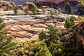 'Berg Carmel Autobahn, Zion Nationalpark; Orderville, Utah, Vereinigte Staaten von Amerika'