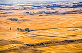 'Endlose Weizenfelder; Palouse, Washington, Vereinigte Staaten von Amerika'