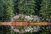 'Wald spiegelt sich auf Black Lake, in der Nähe von Ilwaco; Washington, Vereinigte Staaten von Amerika'