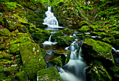 'Wasserfall und moosige Felsen, Ostzweig des Great Village River, in der Nähe von Wentworth Valley; Nova Scotia, Kanada'