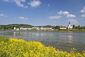 Blick über den Rhein auf Unkel,  Unteres Mittelrheintal, Rheinland-Pfalz, Deutschland, Europa