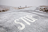 Dünner Neuschnee auf Strasse , Wicklow Mountains, County Wicklow, Irland