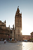 Kirchturm Girallda an der Kathedrale , Sevilla, Andalusien, Spanien, Europa
