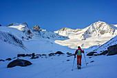 Woman backcountry skiing ascending towards Gabler, view to Gabler, Reichenspitze and Wildgerlosspitze, Gabler, Zillertal Alps, Salzburg, Austria