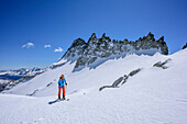 Woman backcountry skiing ascending towards Cima Vedretta Nera, Cima Cornisello in background, Cima Vedretta Nera, Adamello group, Trentino, Italy