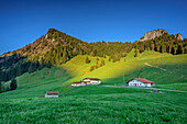 Alpine huts with Heuberg, Daffnerwaldalm, Heuberg, Chiemgau Alps, Upper Bavaria, Bavaria, Germany