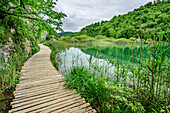 Steg im Nationalpark Plitzwitzer Seen, Plitvitzer Seen, Nationalpark Plitvitzer Seen, Plitvice, UNESCO Weltnaturerbe Nationalpark Plitvitzer Seen, Kroatien