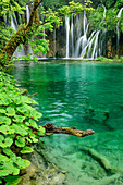 Lake and waterfalls of Plitvice, Plitvice Lakes, National Park Plitvice Lakes, Plitvice, UNESCO world heritage site National Park Lake Plitvice, Croatia