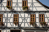 Blue half-timbered house with flower boxes, Schmalkalden, Thuringia, Germany, Europe