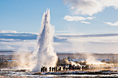 'Geyser ''Strokkur'' (meaning butter barrel) erupts amidst snowy landscape in winter sun, Geysir, Haukadalslaug Hot Pot, Haukadalsvegur, Sudurland, Iceland, Europe'