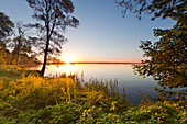 Morning mood at lake Mueritz, Mueritz-Elde-Wasserstrasse, Mecklenburgische Seenplatte, Mecklenburg-West Pomerania, Germany