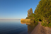 Morning mood at Mueritz lake, Mueritz-Elde-Wasserstrasse, Mecklenburgische Seenplatte, Mecklenburg-West Pomerania, Germany