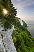 Blick zum Königsstuhl, Kreidefelsen, Nationalpark Jasmund, Rügen, Ostsee,  Mecklenburg-Vorpommern, Deutschland