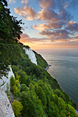 Blick zum Königsstuhl, Kreidefelsen, Nationalpark Jasmund, Rügen, Ostsee,  Mecklenburg-Vorpommern, Deutschland