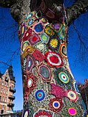 'Colourful crocheted doilies on the trunk of a tree; Stockholm, Sweden'