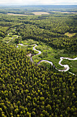 Ein Fluss, der durch eine bewaldeten Landschaft wandert, Matanuska-Susitna Borough, Alaska, Vereinigte Staaten von Amerika