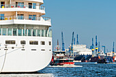 Eine Fähre im Hamburger Hafen passiert ein Kreuzfahrtschiff, Hamburg, Deutschland