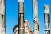 Das Kolosseum durch Säulen auf dem Forum Romanum gesehen, Rom, Latium, Italien