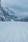 Icefields Parkway, Banff National Park, Jasper Nationalpark, Alberta, Kanada, Nordamerika