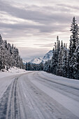 Icefields Parkway, Banff National Park, Jasper National Park, Alberta, Kanada, north america