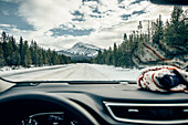 Icefields Parkway, Banff National Park, Jasper Nationalpark, Alberta, Kanada, Nordamerika